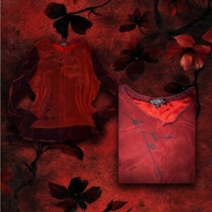 Red Floral Embroidered Long Sleeve Blouse